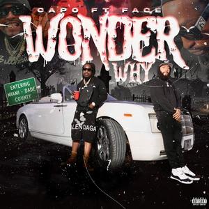 WONDER WHY (feat. Face The Writer)