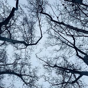 Half Caf (feat. Mike Pride)