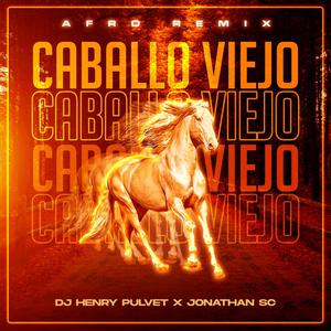 Caballo Viejo Slap House