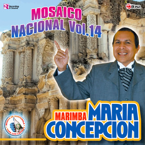 Mosaico Nacional Vol. 14: Por Qué Será / El Caitudo / Jardin Mazateco / Alegres Camineros / Colonia Monte Real / Concepción Tutuapa / Santa Lucía Cotzumalguapa / Al Compás de la Guaracha