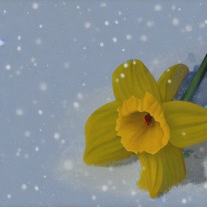 飞飞 - 雪花别为我难过 (深情版)