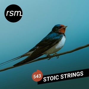 Stoic Strings