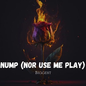 NUMP (NOR USE ME PLAY)