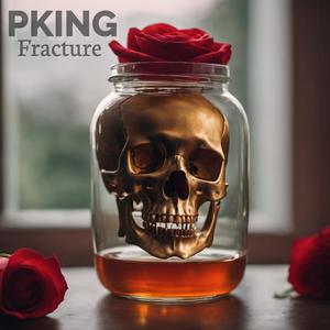 Fracture (Explicit)