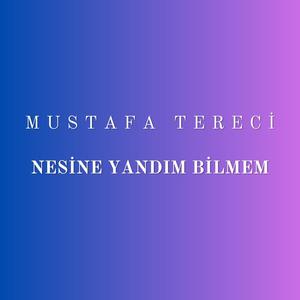 Nesine Yandım Bilmem