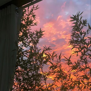 这一路不容易 (降速版)