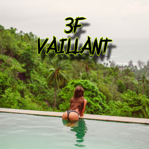 Vaillant