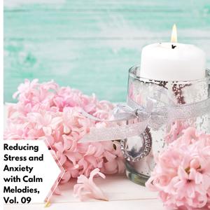 Reducing Stress And Anxiety With Calm Melodies, Vol. 09