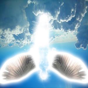 C me (feat. VV$ Neutral) (Explicit)