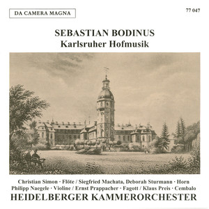Sinfonie (für 2 Hörner und Orchester) in F Major - Sinfonie (für 2 Hörner und Orchester) in F Major: I. Allegro assai