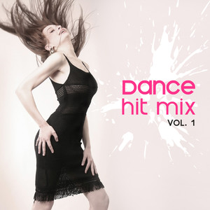 Dance Mix Hits, Vol. 1