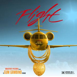 Flight (Explicit)