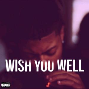 Wish You Well (Explicit)