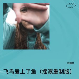 刘德斌 - 飞鸟爱上了鱼 (摇滚重制版伴奏)