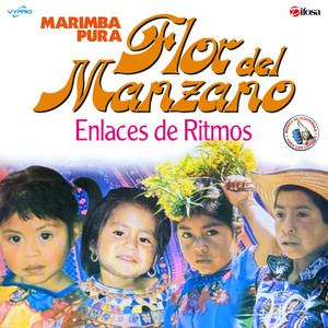 Enlaces de Ritmos. Música de Guatemala para los Latinos