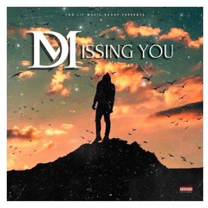 Missing You (Explicit)