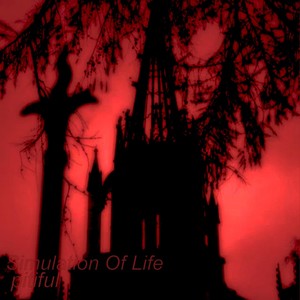 Simulation of Life (Explicit)