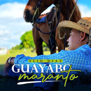 Guayabo maranto