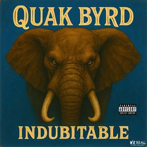 Indubitable (feat. Prod. Hereal) (Explicit)