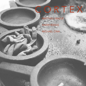 Cortex