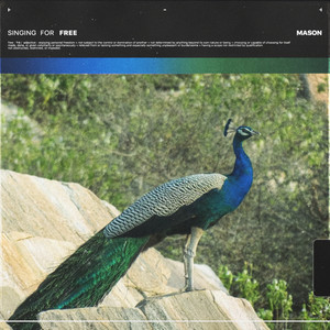 LustyPlayaN*ggas (Explicit)