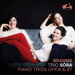 Piano Trio No. 2 in C Major, Op. 87 - II. Andante con moto