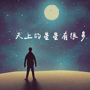 天上的星星有很多 (DJ文乐remix)