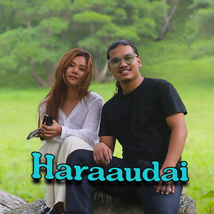 Haraaudai