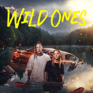 Wild Ones (Explicit)