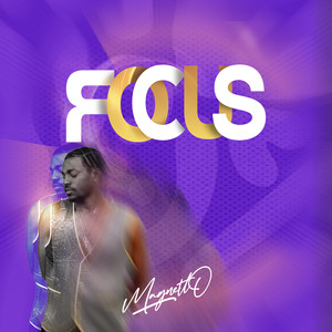 Magnetto - Focus