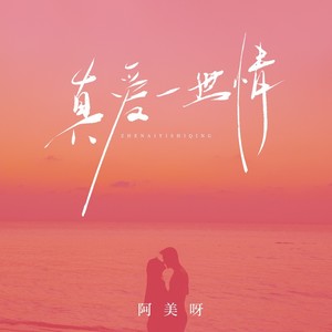 真爱一世情 (DJ九零版)