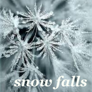 Snow Falls