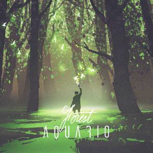 Forest (Instrumental Version)