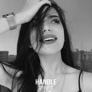 Handle