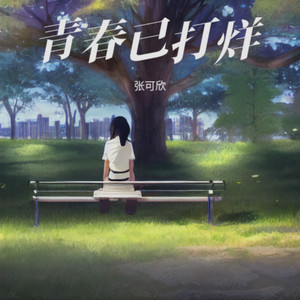青春已打烊封面