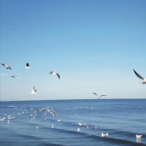 泡汤 (潮流舞蹈Bgm)