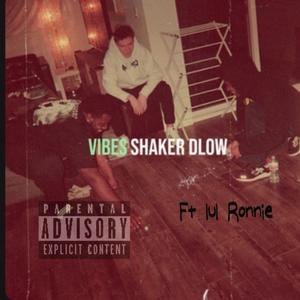 Vibes (feat. Lul Ronnie) (Explicit)