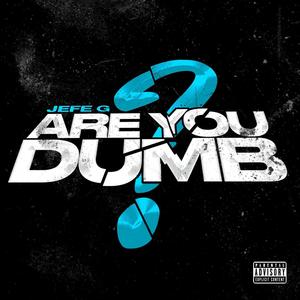 Are You Dumb (Explicit)