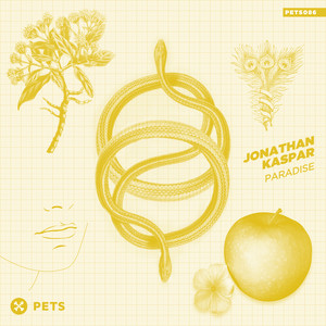 Paradise (Original Mix)