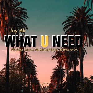 What You Need (feat. Sean Carson, BoddyBag Jones & Wali Ali Jr)