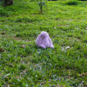 Bunny Luv (Explicit)