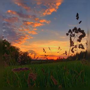 Interlude (Get To You) (Explicit)