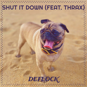 Deflock - Shut It Down (Explicit)
