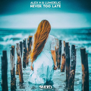 Never Too Late