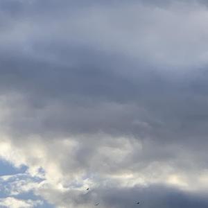 on my own (Explicit)