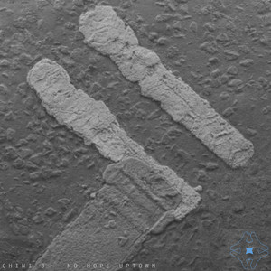 If I Ever See You Again (F.eht Remix)