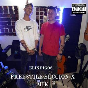 bichote freestyle seccion x mik