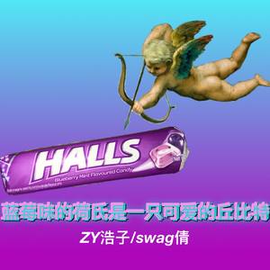 蓝莓味的荷氏是一只可爱的丘比特