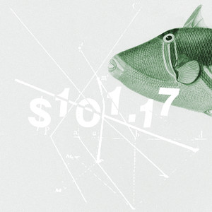 $101.17 (slowed and reverb)