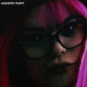 INDUSTRY PLANT! (feat. Lia Y2K & Bimbo Brat) (Explicit)